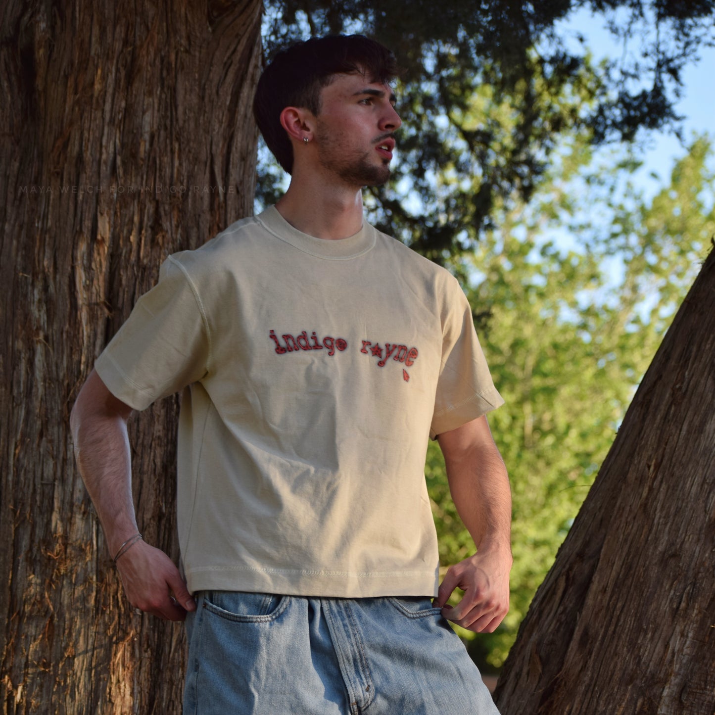 03 ladybug logo boxy tee