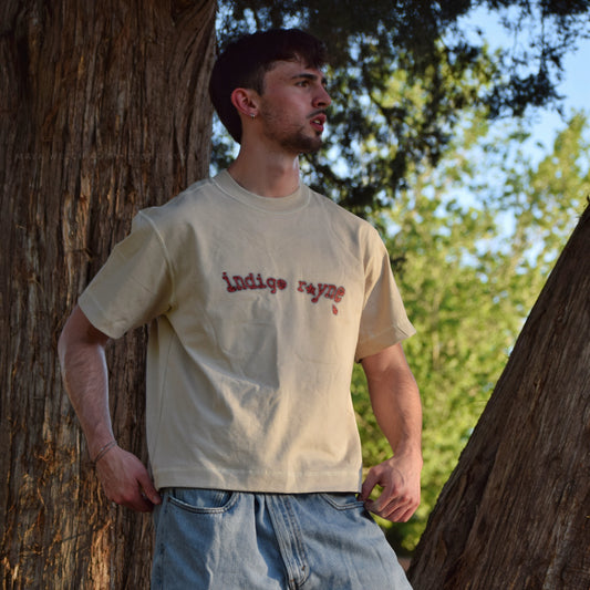 03 ladybug logo boxy tee