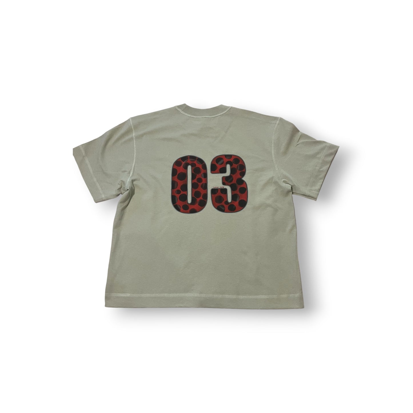 03 ladybug logo boxy tee